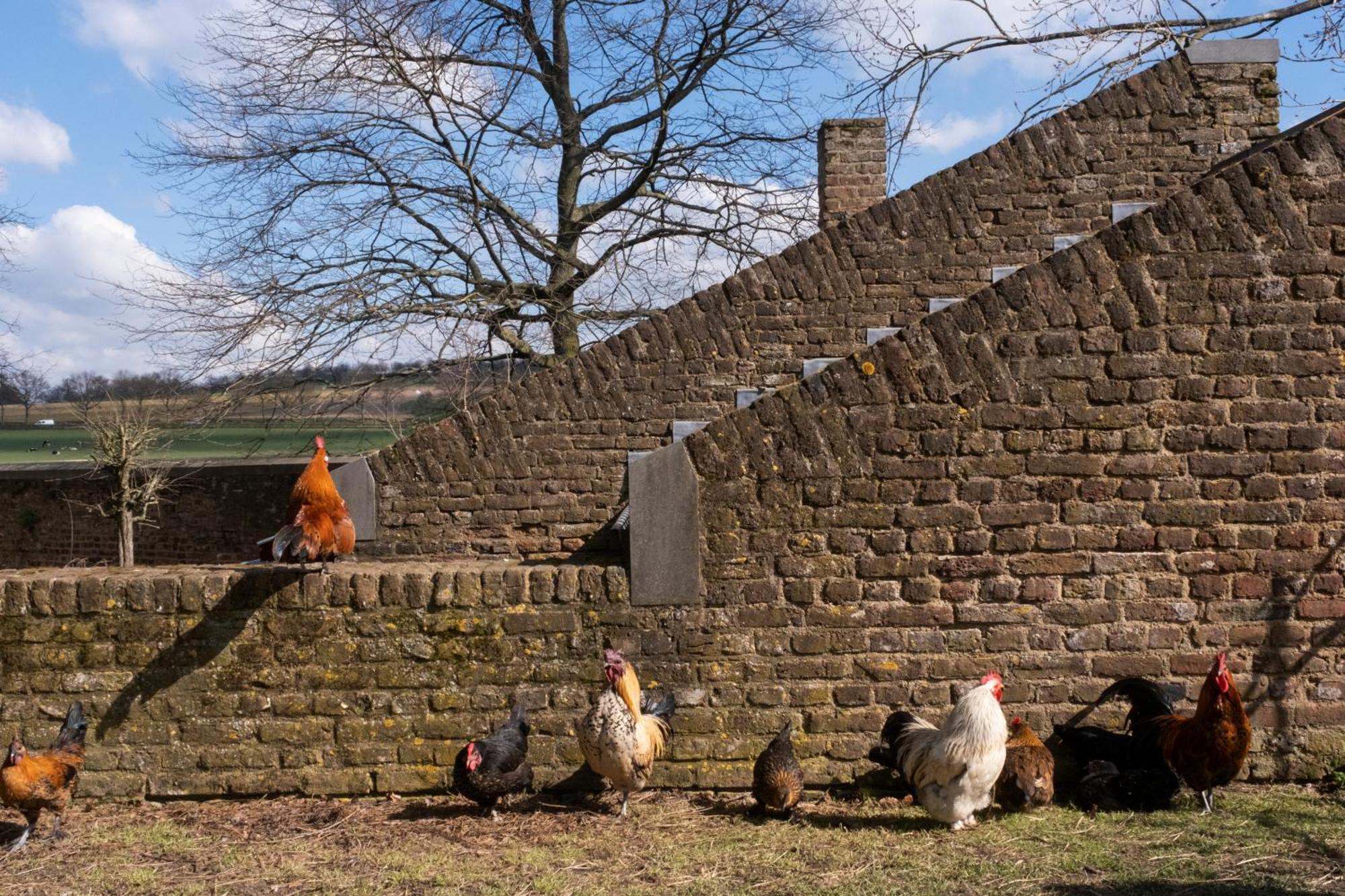 Meschermolen 9 ภายนอก รูปภาพ